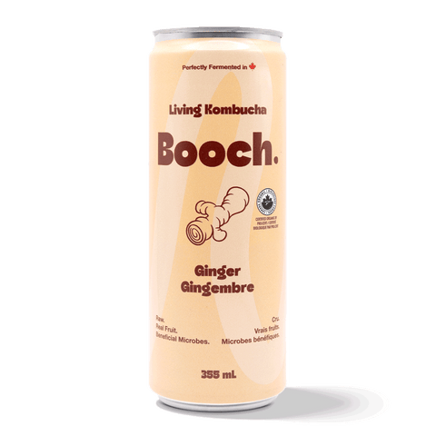 Booch Ginger Living Kombucha