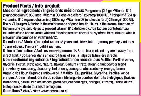Vegan Vitamin D3 & B12 Supplement