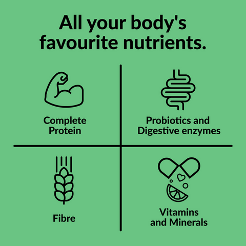 Peanut Butter Vegan Protein Powder | 440g (10 servings)