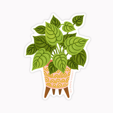 Rainbow Pot Houseplant Sticker