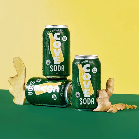 Ginger Ale | Zero Sugar Prebiotic Soda