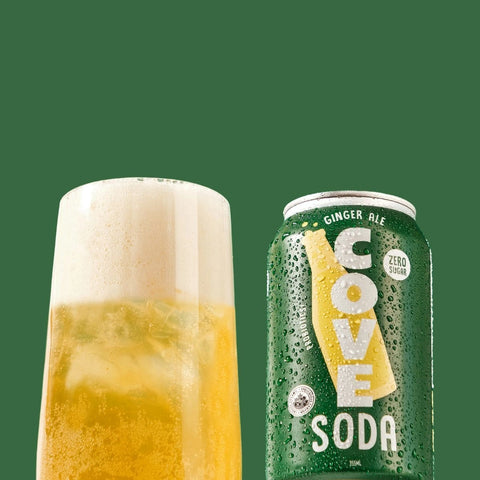 Ginger Ale | Zero Sugar Prebiotic Soda