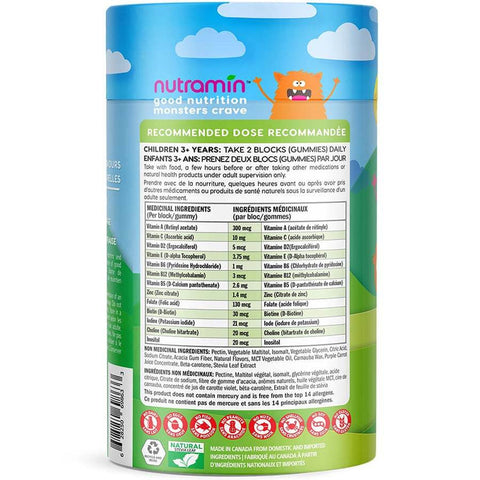Vegan Multivitamin Gummies - Kids
