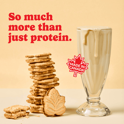 Maple Cookie Vegan Protein Powder | 440g (10 servings)