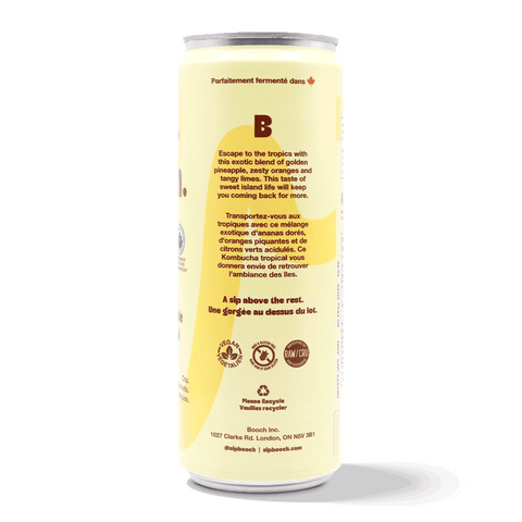 Tropical Pineapple Living Kombucha