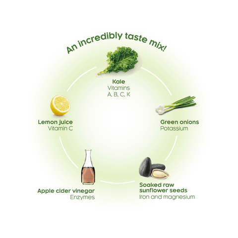 Vegan Sour Cream & Green Onions Kale Chips