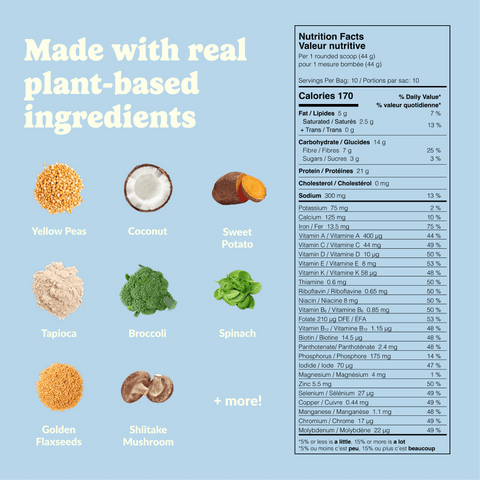 Maple Cookie Vegan Protein Powder | 440g (10 servings)