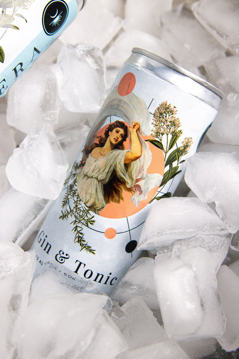 Non-Alcoholic Gin & Tonic