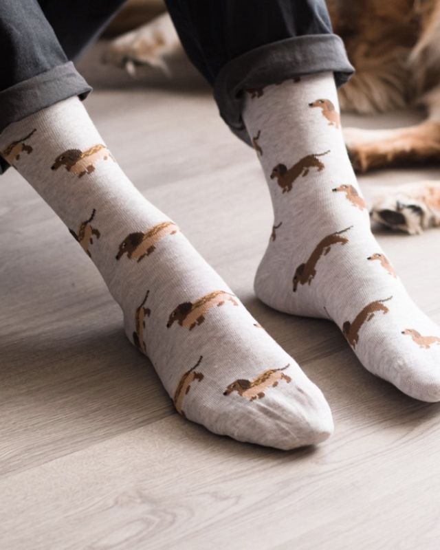 Wiener Dog Mismatched Women's Socks