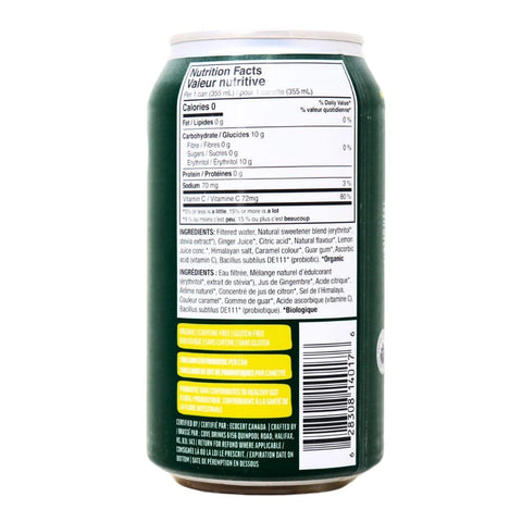Ginger Ale | Zero Sugar Prebiotic Soda