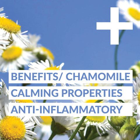 Turmeric Daily Wellness Shot