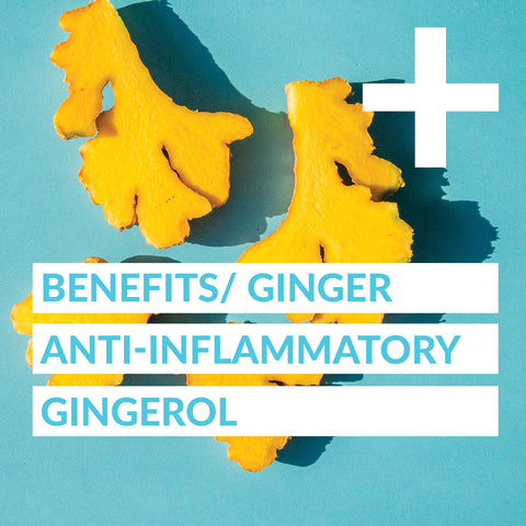 Turmeric Daily Wellness Shot