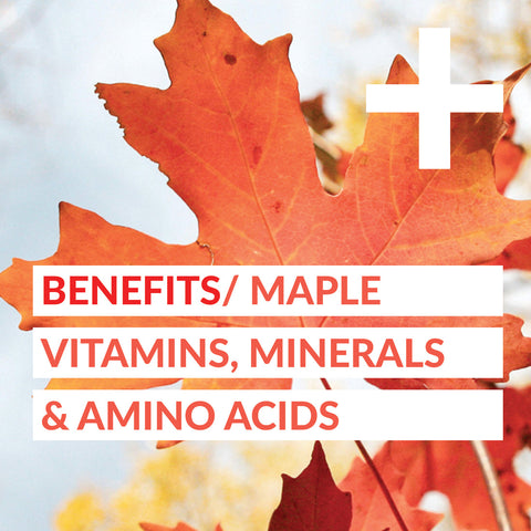 Turmeric Daily Wellness Shot