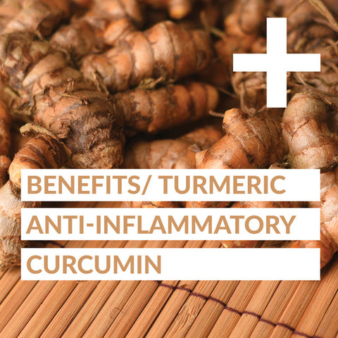 Turmeric Daily Wellness Shot